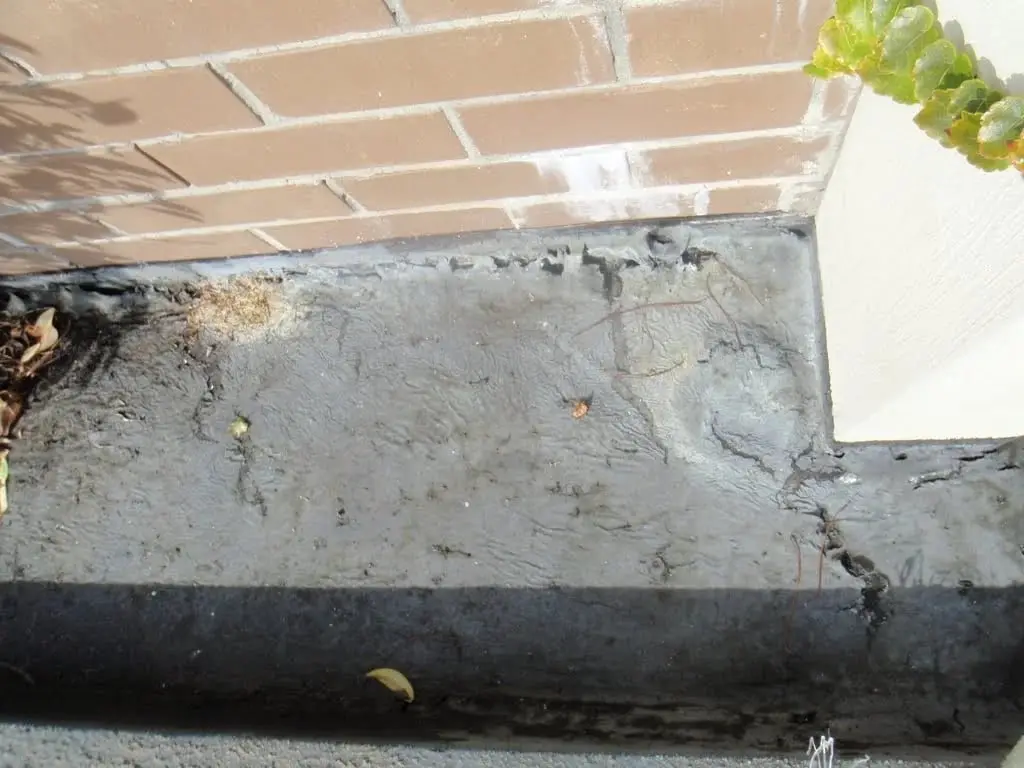 Failing waterproof membrane, Brooklyn, Cornwallis St · planter boxes