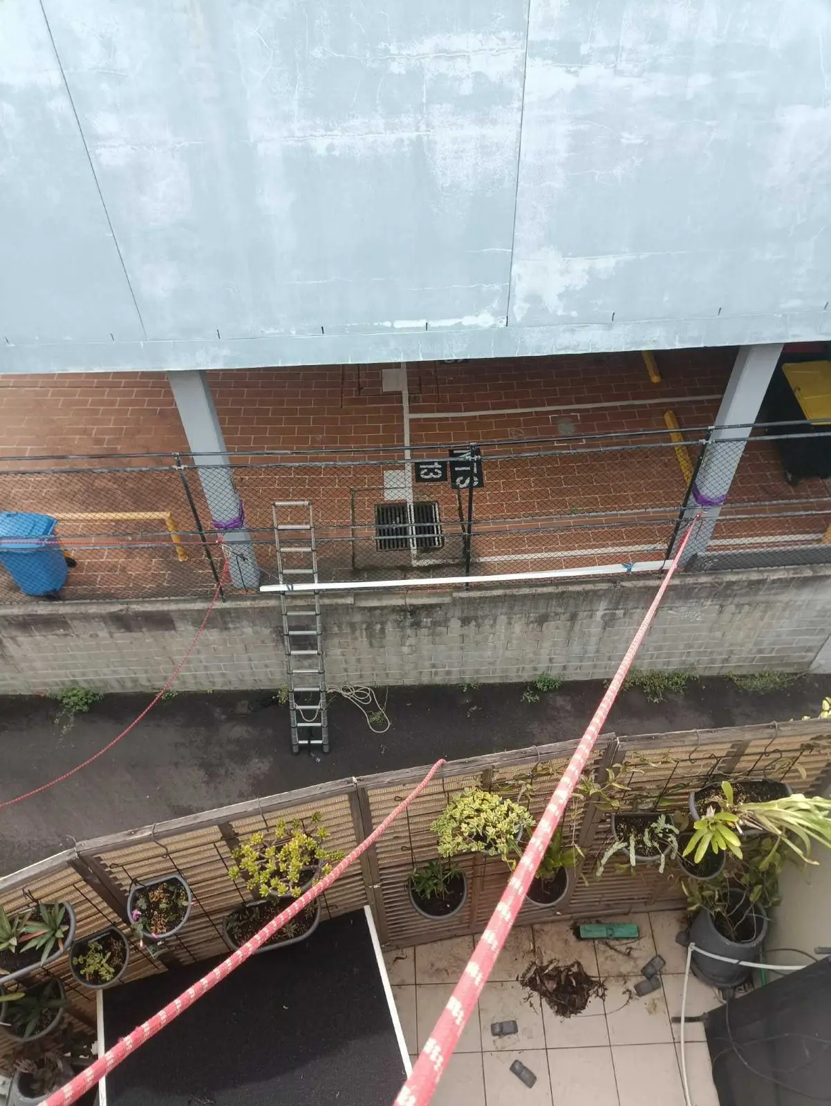 Gutter and facade, Brooklyn, Cornwallis St · Redfern