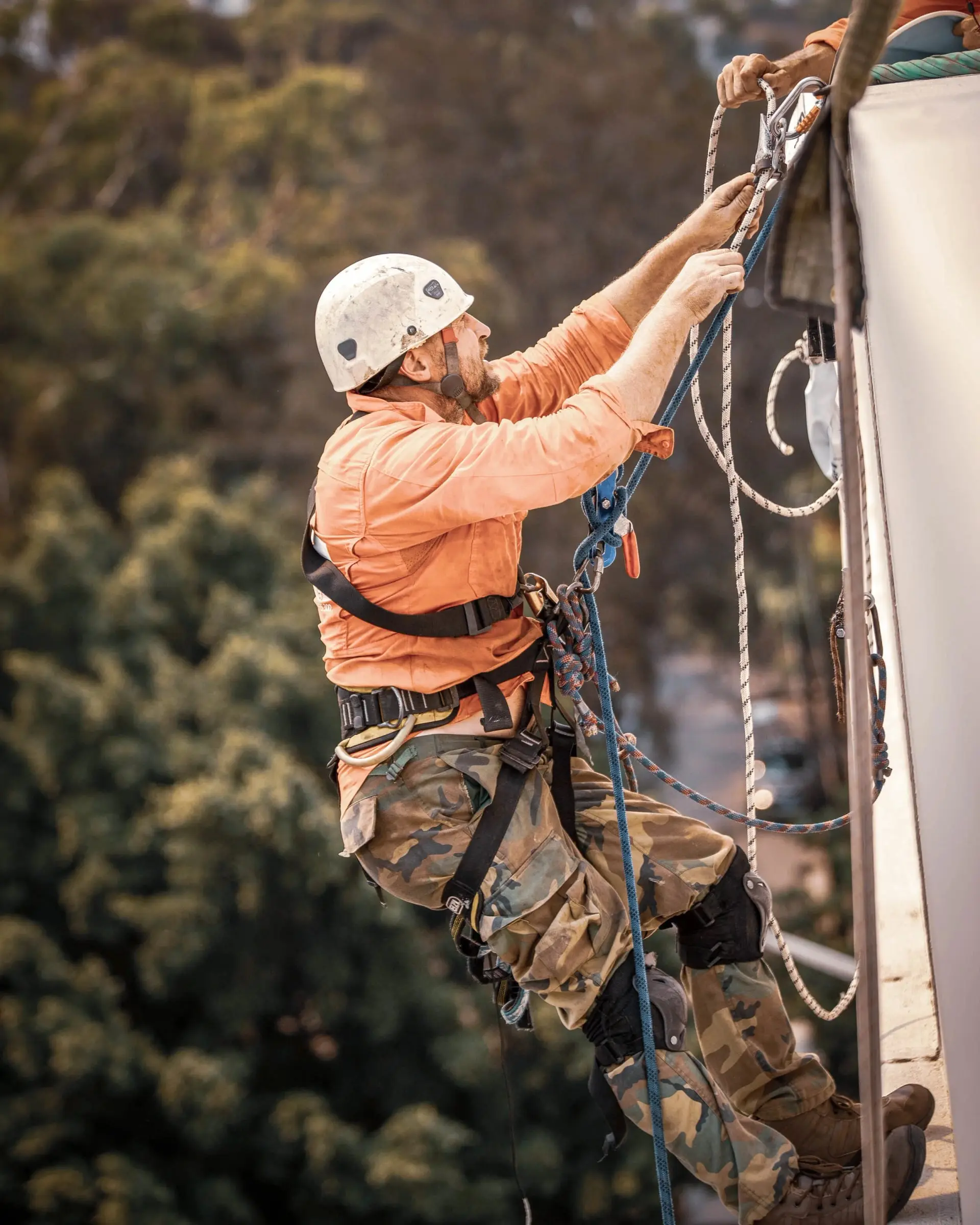 Climbing the rope, trees behind, Crew photo shoot, 2020