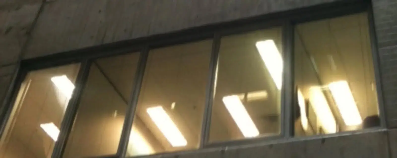 Row of clear office windows with fluorescent lights visible inside, after calcium stains were removed from the glass