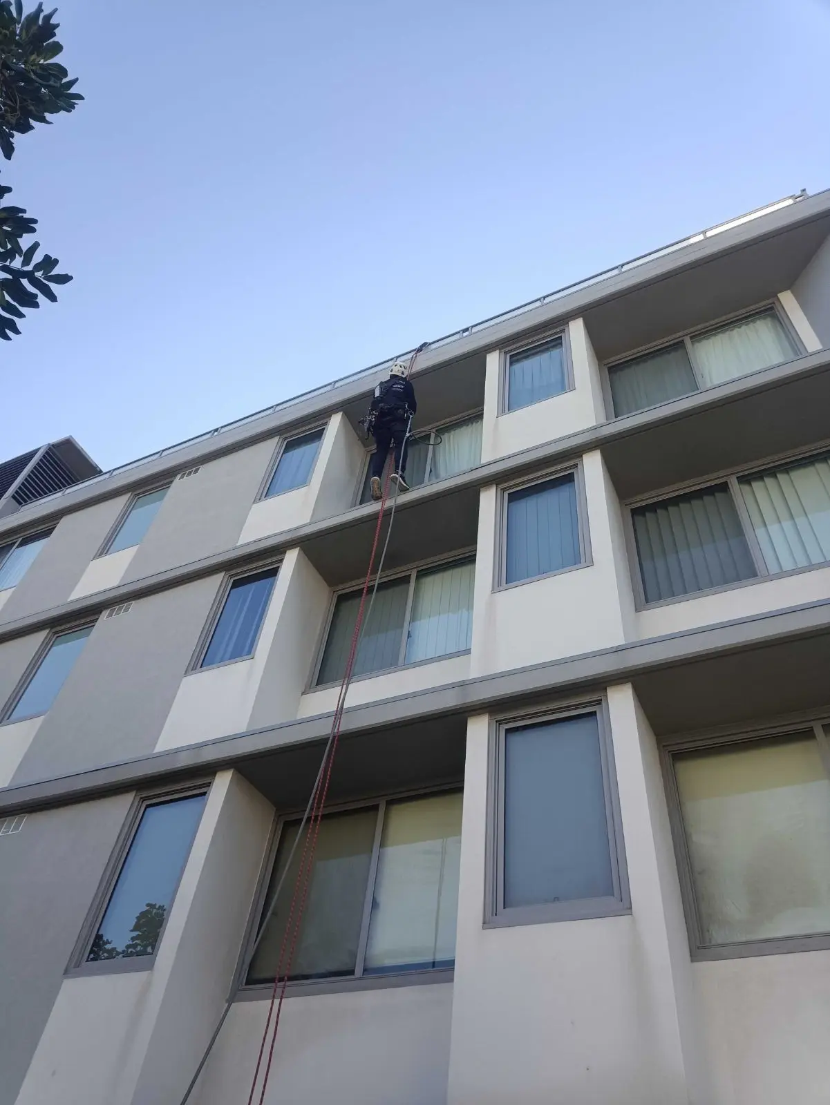 Mid-drop between the windows, Kogarah · 2026