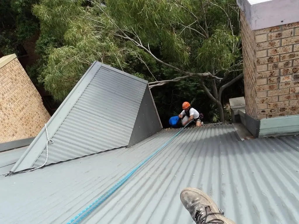 Rope access technician in an orange helmet clearing a gutter at the edge of a metal roof under gum trees, roped to an anchor on the ridge