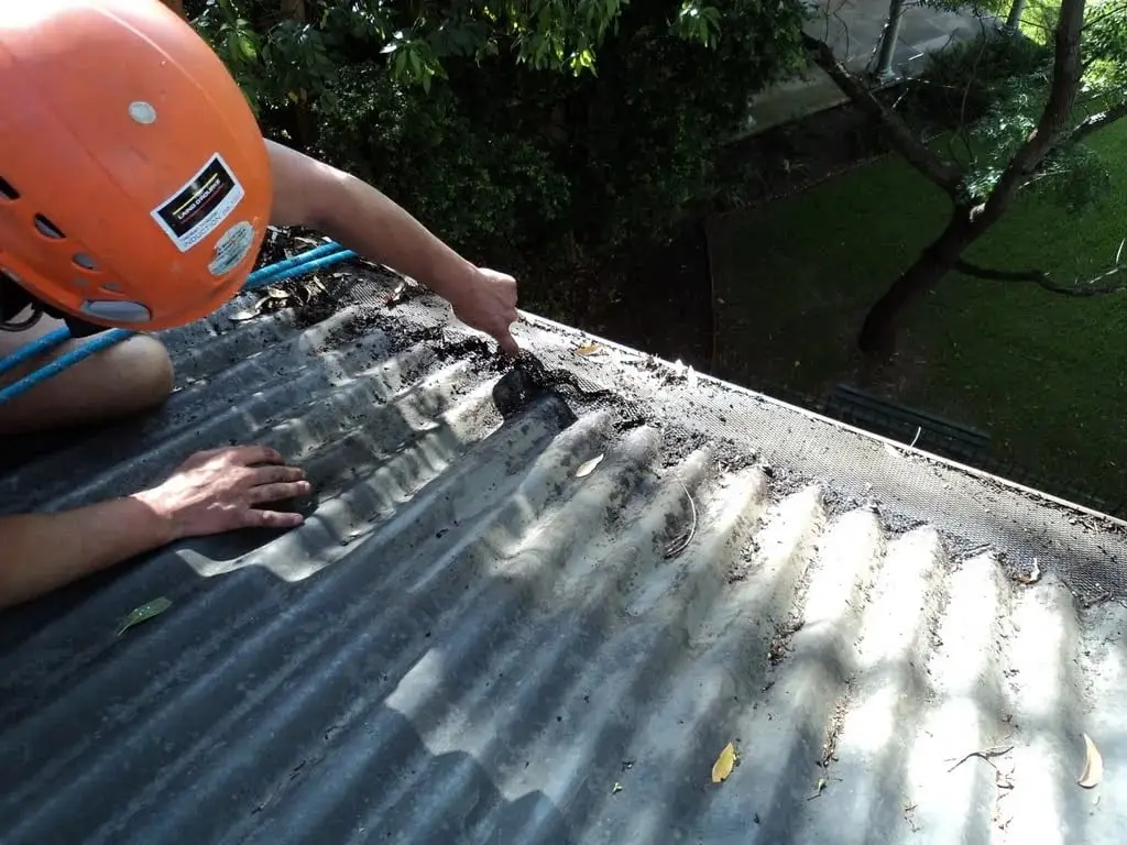 Clearing by hand, Scooping sludge from a gutter under trees.