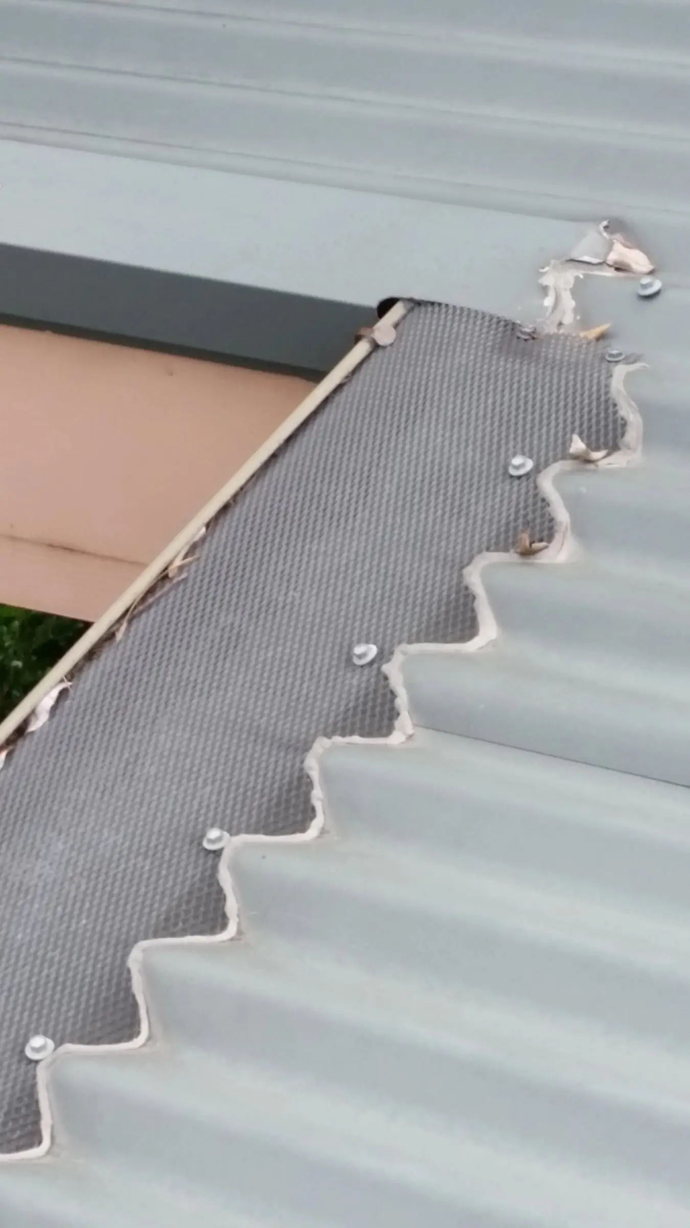 Gutter guard fitted, Mesh gutter guard screwed down along the ribs of a corrugated metal roof.