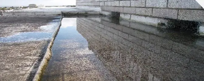 Ponding water, Water pooled along a flat roof beside a brick parapet, the kind of problem waterproofing fixes.