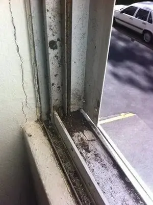 Sill track, Dirt and debris packed in the sill track.